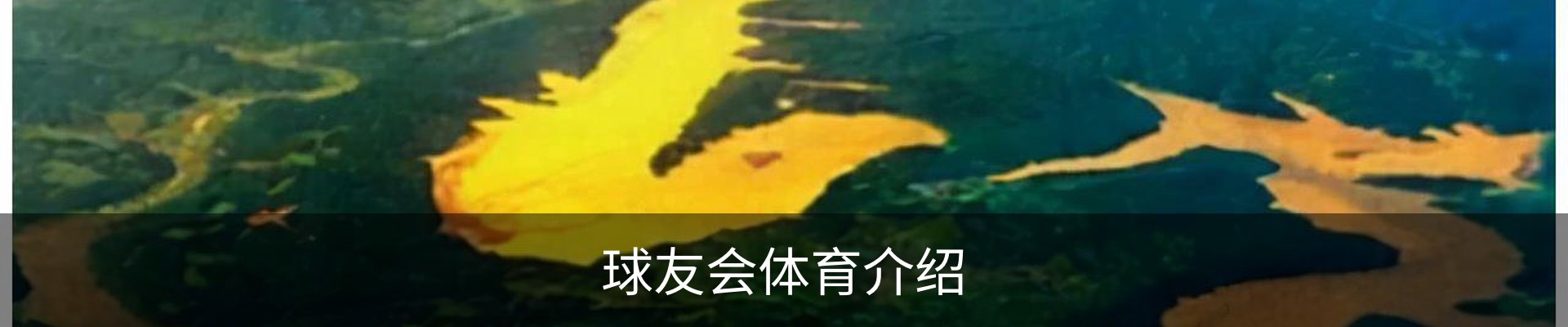 球友会体育介绍